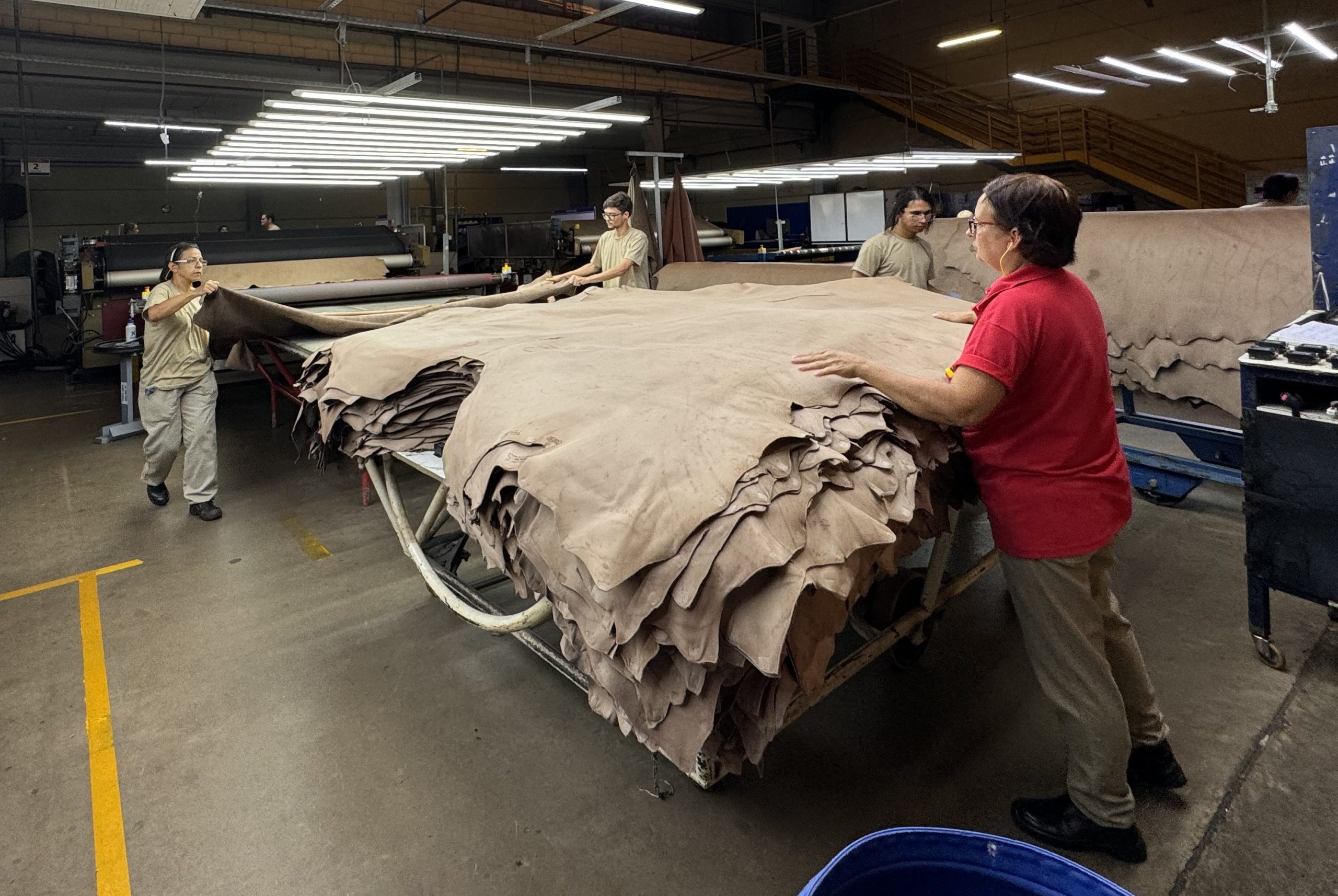jbs tannery
